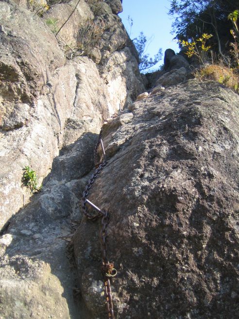 img20100121_3.jpg
