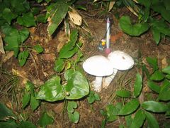 img20090911_6.jpg