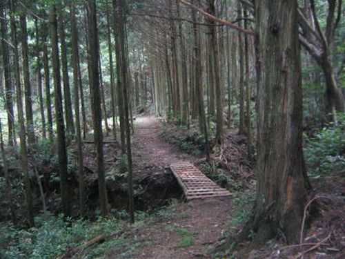 kuma20[1]