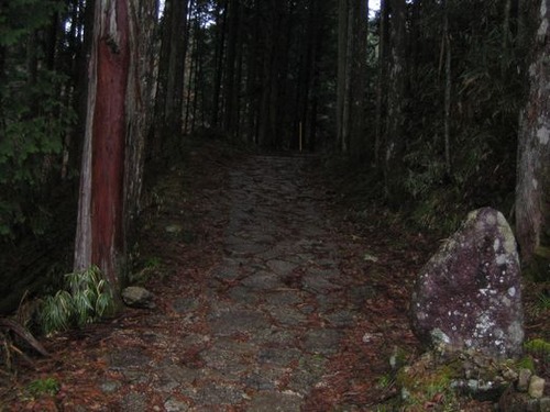 NAKASENDO 035