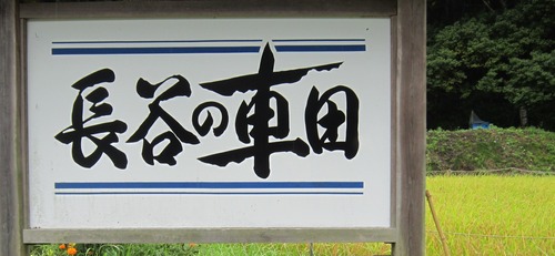 IMG_3597