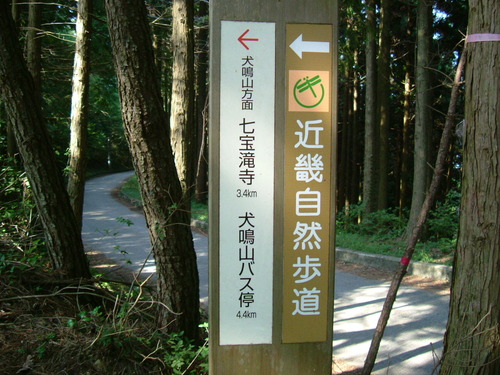 DSCF2925