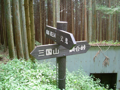 DSCF2852