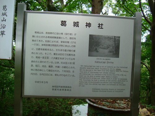 DSCF2907