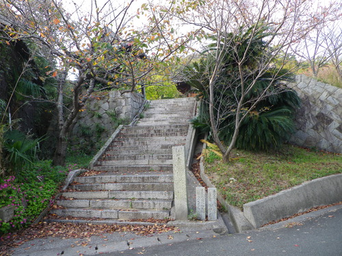 IMGP0156