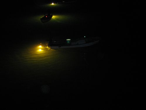img20100120_6.jpg