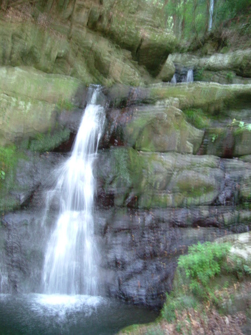 DSCF2975