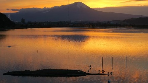 IMG_0263