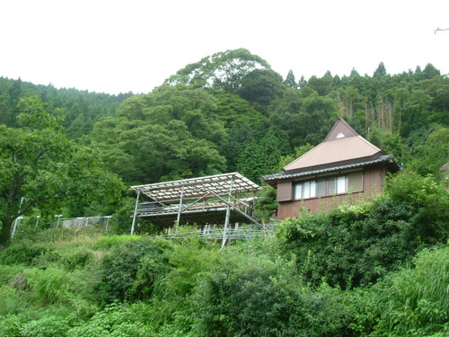 DSCF2050 干し柿の棚