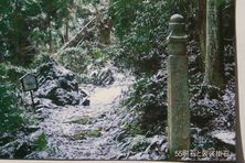 img20090116.jpg