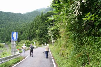 img20090411_4.jpg
