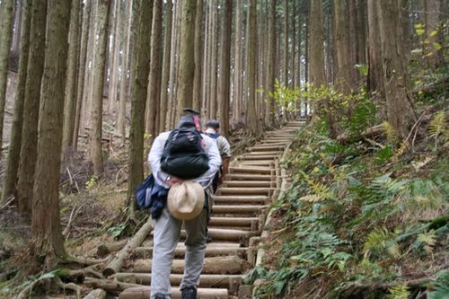 IMG_1268 急な木道を登る