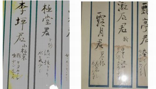 img20100120_1.jpg