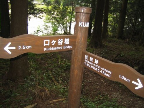 大辺路 013