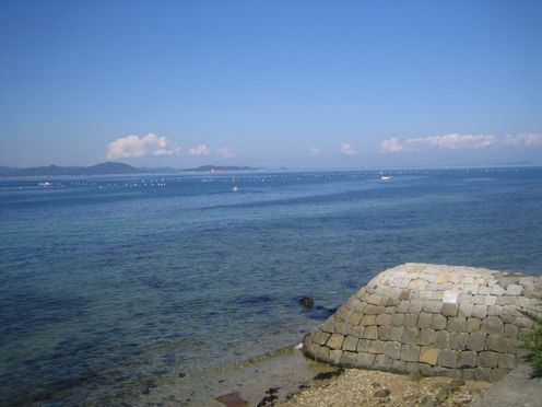 img20091212_3.jpg
