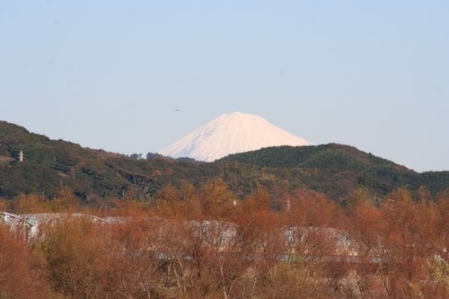 IMG_6709 大井川の堤防から富士山が見える