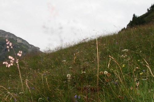 2010-08-29 061