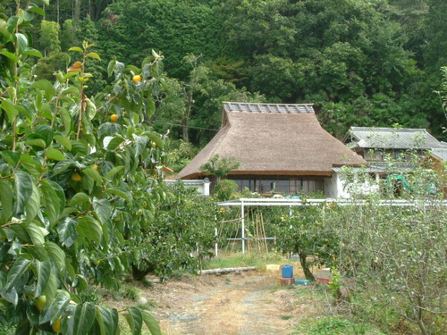 DSCF2841