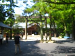 img_3674.jpg
