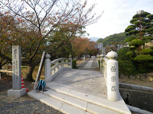 IMGP0059