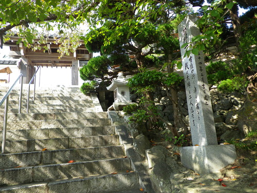 IMGP0034