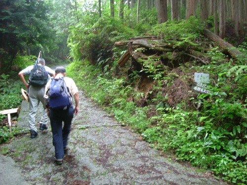 DSCF1977 40分ほど歩いて、岩湧山方面へ