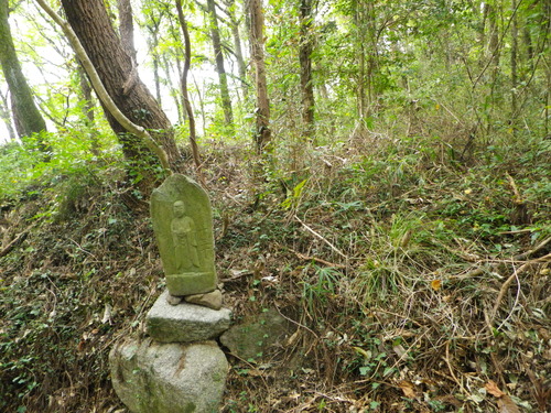 IMGP0097