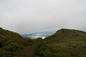 img_4299.jpg