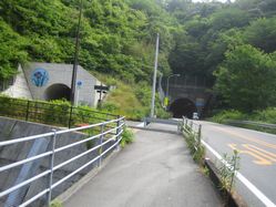 img20090804_1.jpg