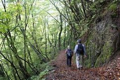img_0545_1.jpg