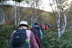 img_2771.jpg