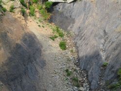 img20090713_6.jpg