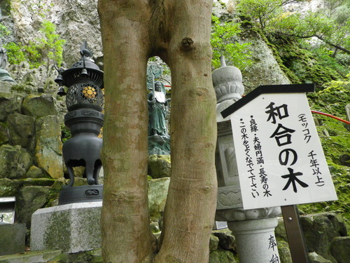 IMGP0105
