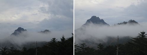 img20100112.jpg