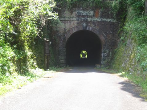 img20090806_7.jpg