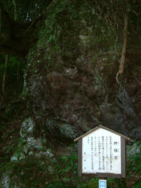 DSCF2235