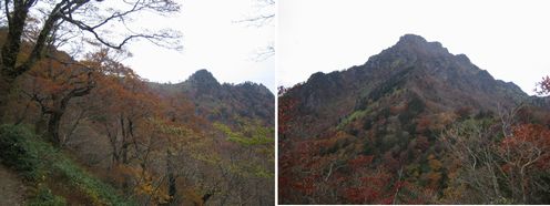 img20100111_4.jpg