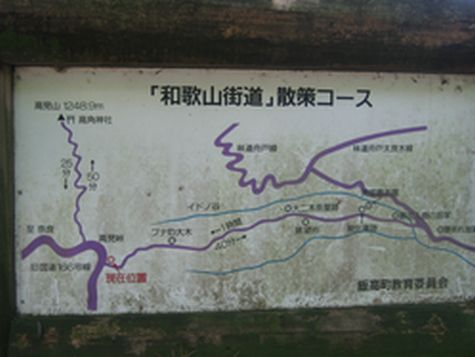 img20090713_2.jpg