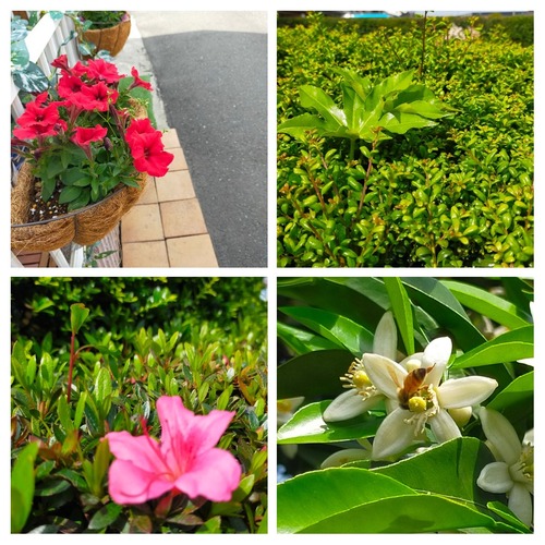 20220511_211507-COLLAGE