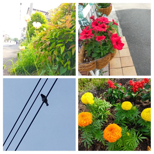 20220511_211620-COLLAGE