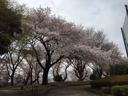 20150403-1