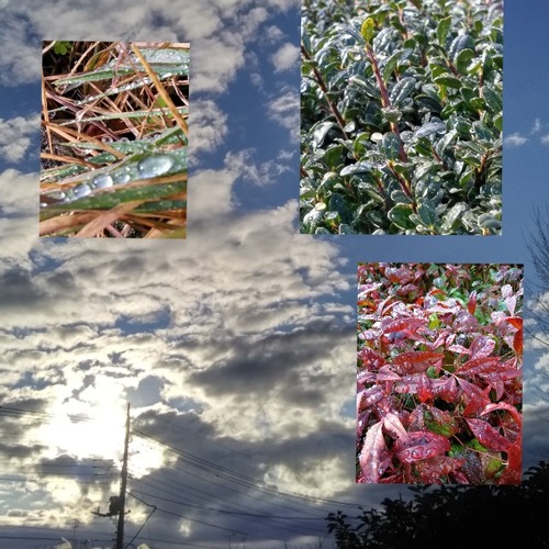 collon_20200205081012