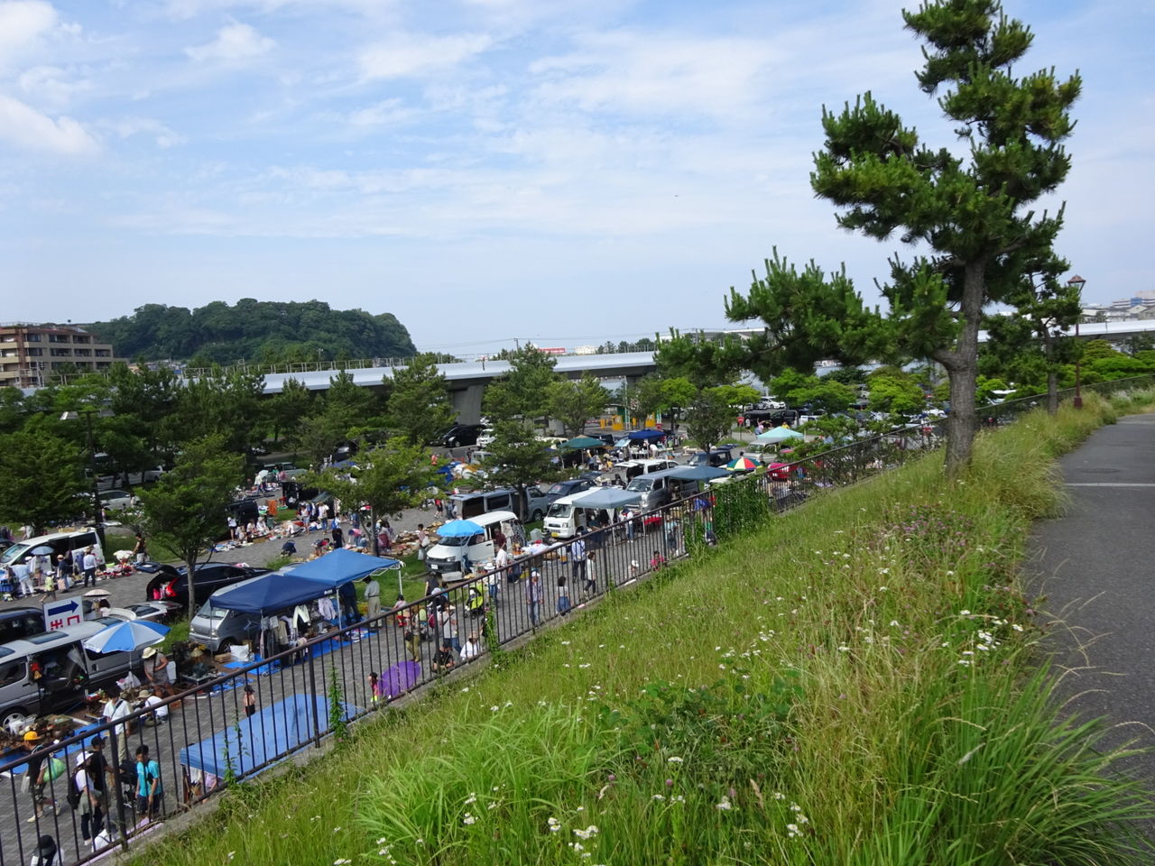 風の便り その裸で走る男に問う 風の便り その裸で走る男に問う