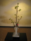 img20080310_2.jpg