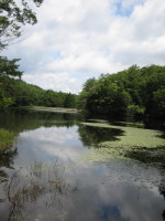 img20060801.jpg