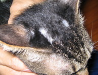 img20060823.jpg