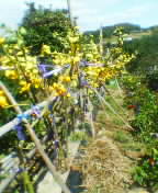 050925_1328%7E03.jpg