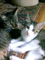 img20070718_4.jpg