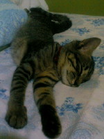 img20060823_3.jpg