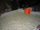 img20090204_3.jpg
